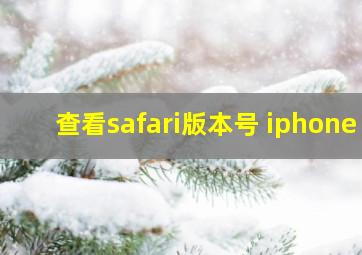 查看safari版本号 iphone